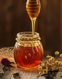 NATURAL MOUNTAINS HONEY